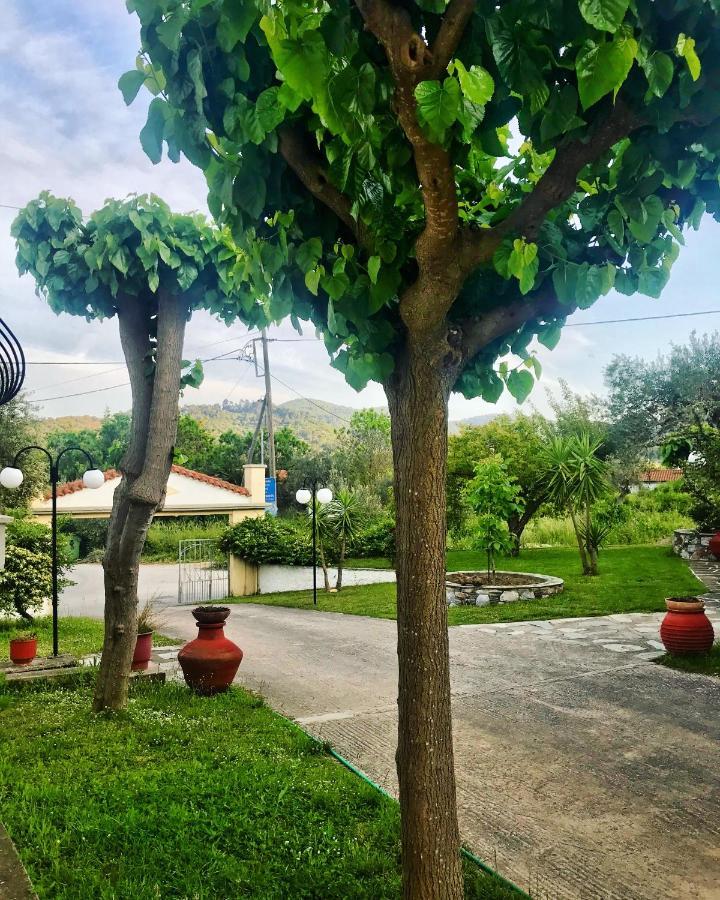 Pansion Episkopi Studios Skopelos Exteriér fotografie