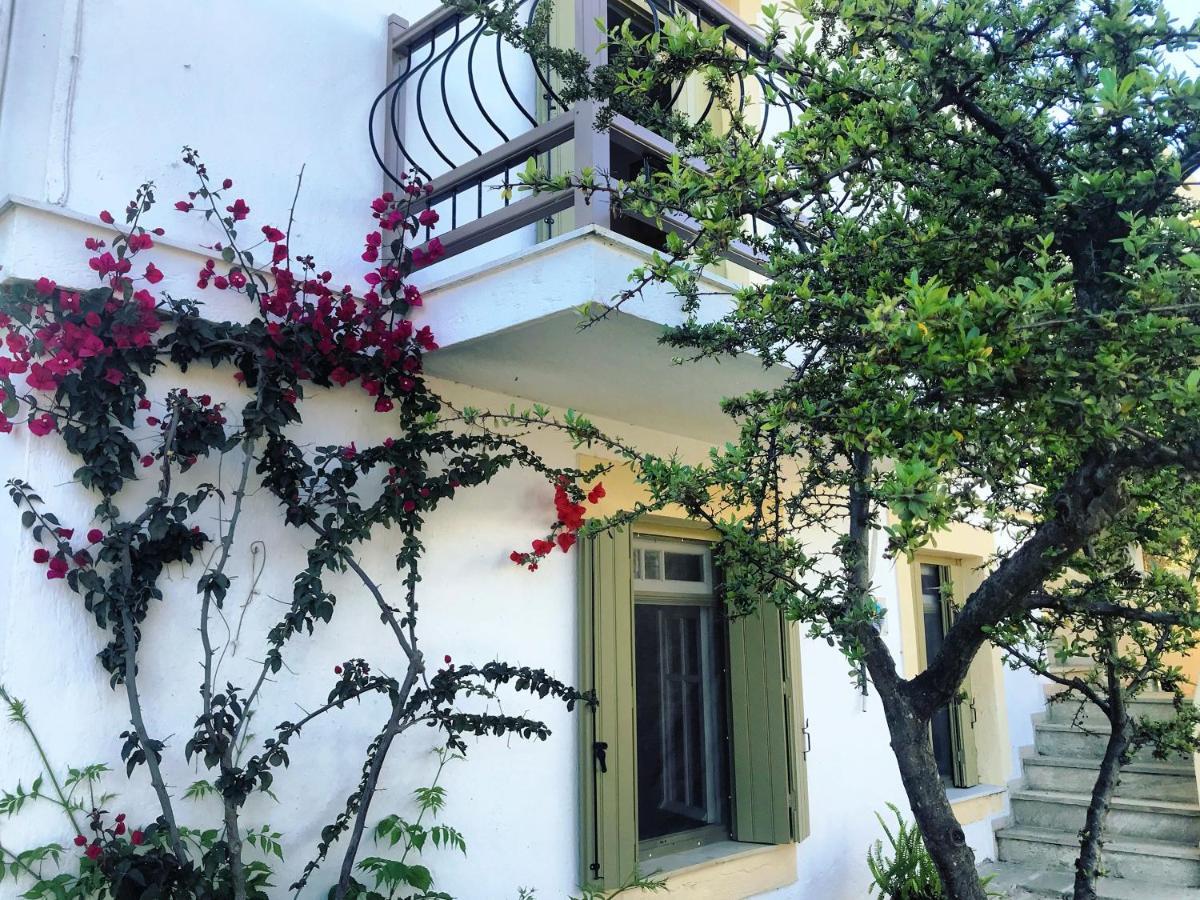 Pansion Episkopi Studios Skopelos Exteriér fotografie