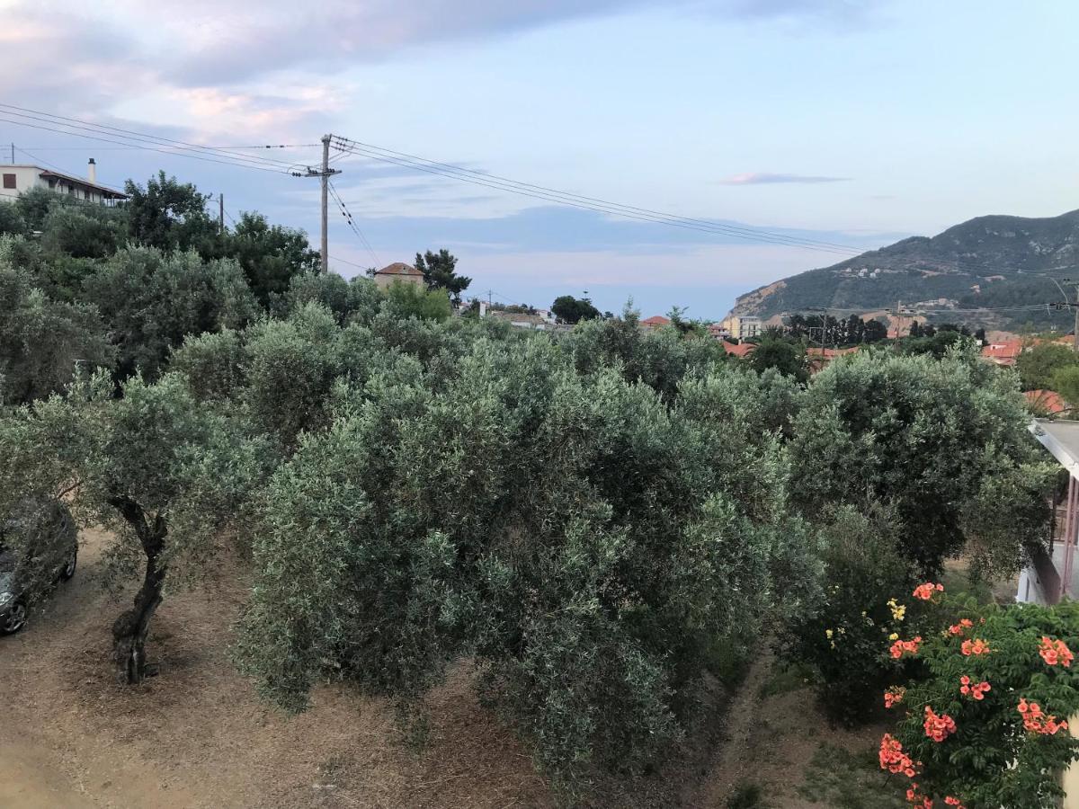 Pansion Episkopi Studios Skopelos Exteriér fotografie