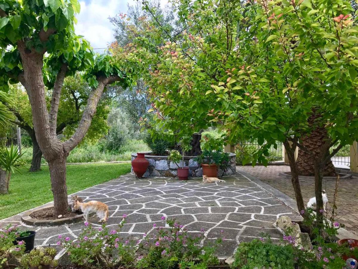 Pansion Episkopi Studios Skopelos Exteriér fotografie