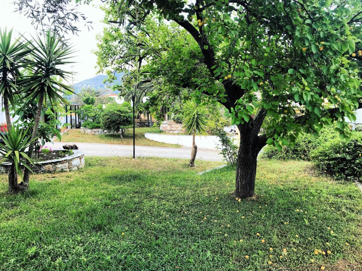 Pansion Episkopi Studios Skopelos Exteriér fotografie