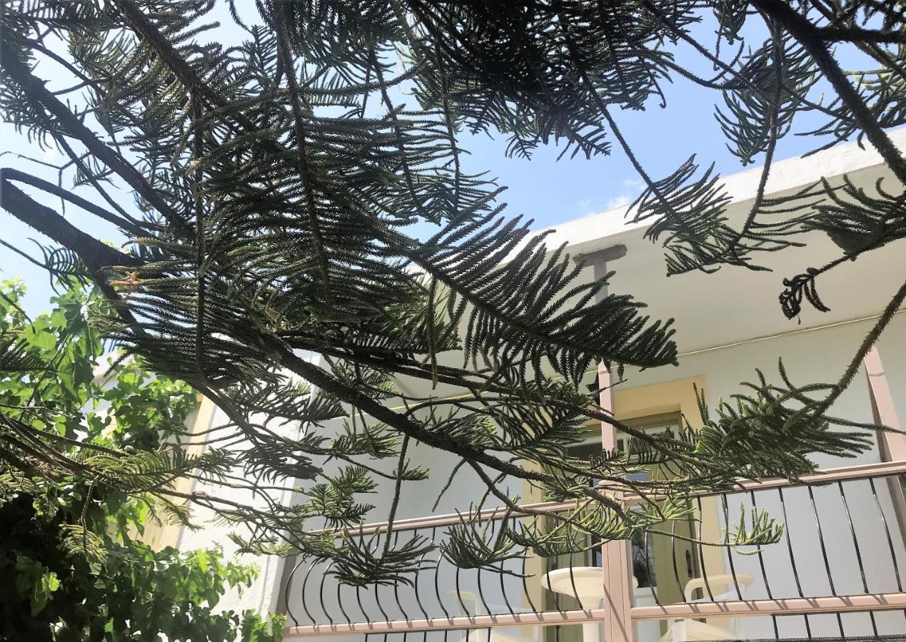 Pansion Episkopi Studios Skopelos Exteriér fotografie
