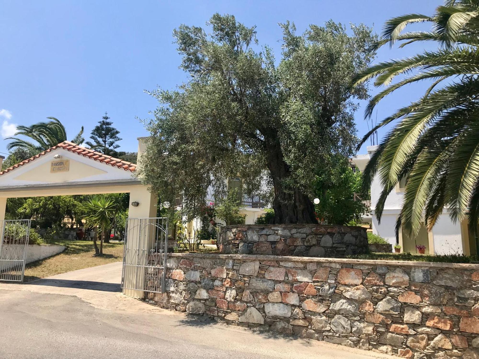 Pansion Episkopi Studios Skopelos Exteriér fotografie