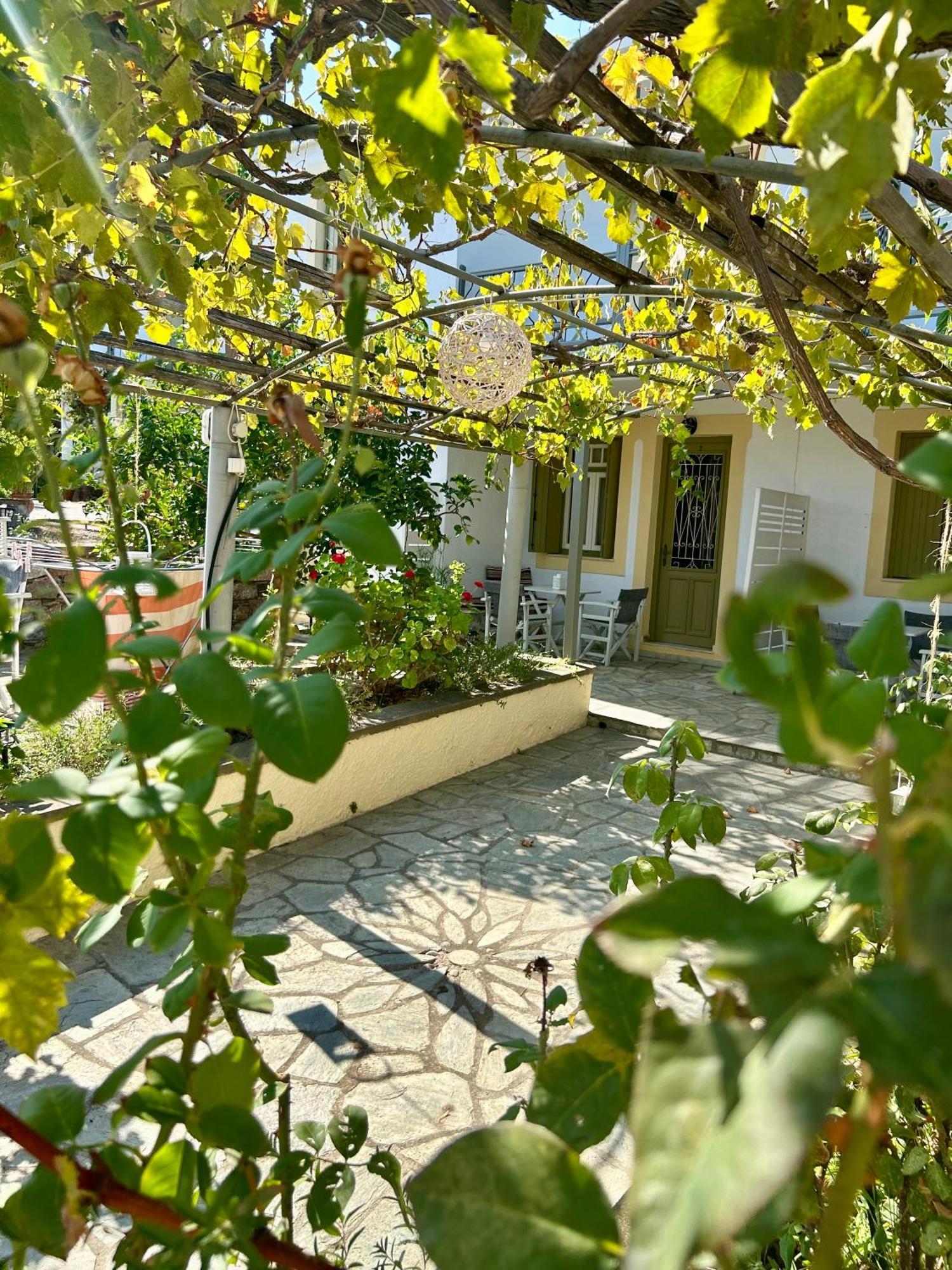 Pansion Episkopi Studios Skopelos Exteriér fotografie